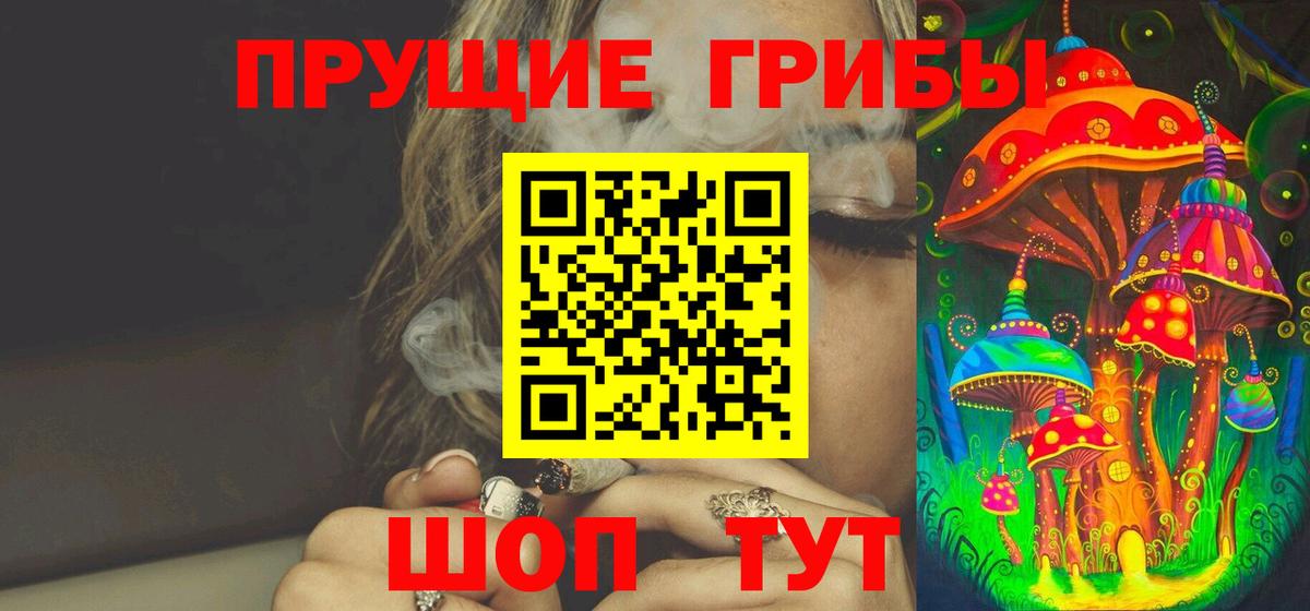 Псилоцибиновые грибы Psilocybe  Вход с VPN  Клин  Псилоцибиновые грибы прущие грибы 